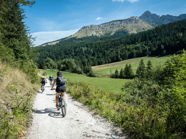 Deux personnes en tenue de randonnée marchent sur un sentier en pente, entourées de végétation et de montagnes en arrière-plan