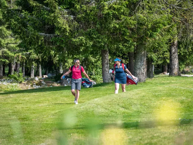 Due persone che giocano a frisbee in un parco con alberi sullo sfondo