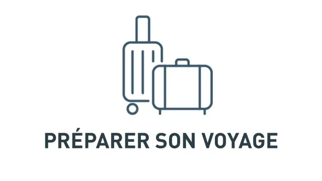 Icon of a laptop with a stylized airplane above, symbolizing trip preparation