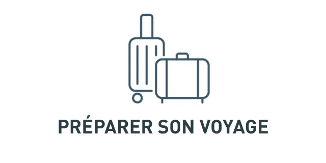 Icon of a laptop with a stylized airplane above, symbolizing trip preparation