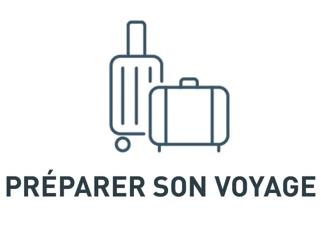 Icône d’un ordinateur portable avec un avion stylisé au-dessus, symbole de préparation de voyage