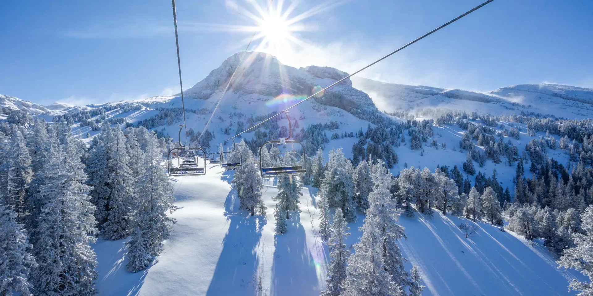 Strada di montagna innevata fiancheggiata da foreste e cime innevate sotto un cielo blu