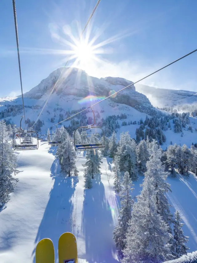 Snow-covered mountain road lined with forests and snow-capped peaks under a blue sky