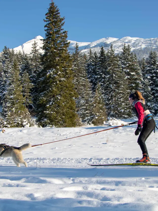 Homme en tenue de ski tenant une laisse avec un chien blanc sur un sentier enneigé en montagne