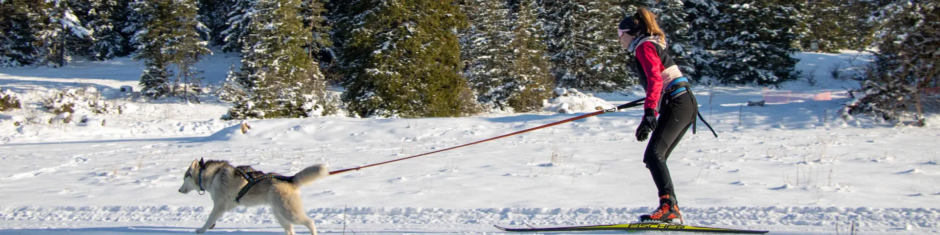 Uomo in abbigliamento da sci che tiene un guinzaglio con un cane bianco su un sentiero innevato in montagna