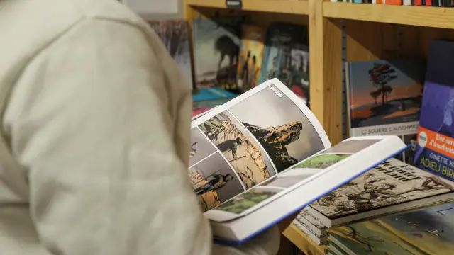 Rayonnages de livres en librairie avec des ouvrages variés