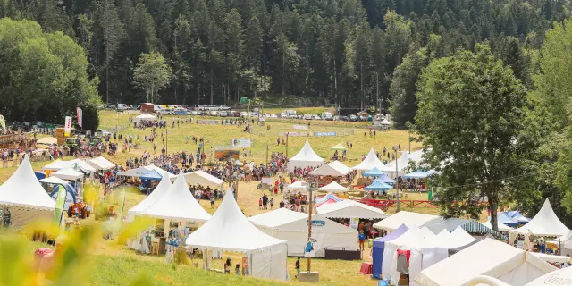 Festival all'aperto con tende bianche, tavoli e sedie disposti su un prato, circondato da alberi