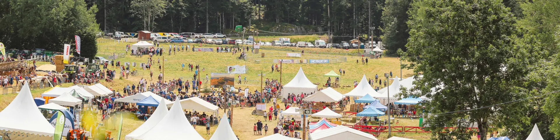 Festival en plein air avec tentes blanches, tables et chaises disposées sur une pelouse, entouré d'arbres