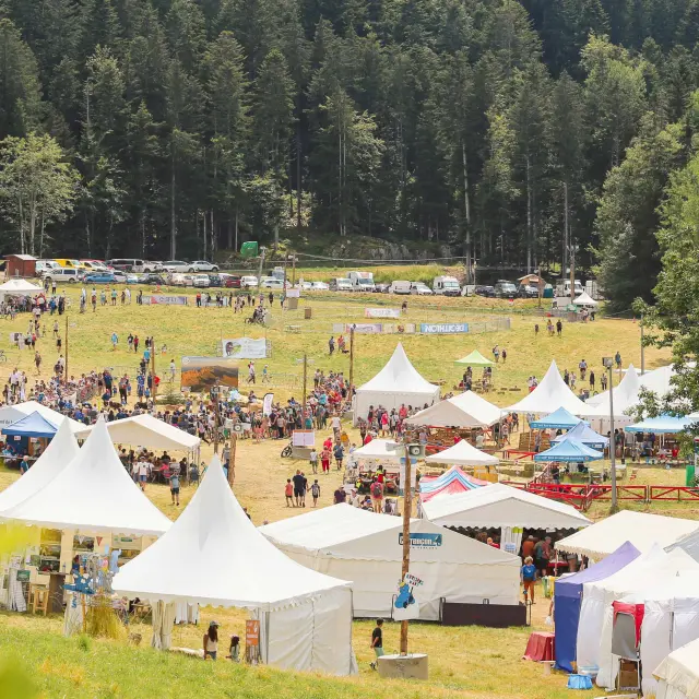 Outdoor festival with white tents, tables and chairs arranged on a lawn, surrounded by trees