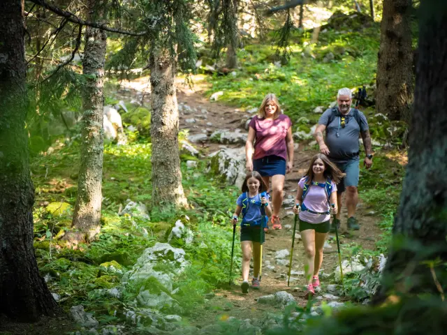 Group of people walking on a forest trail carrying backpacks