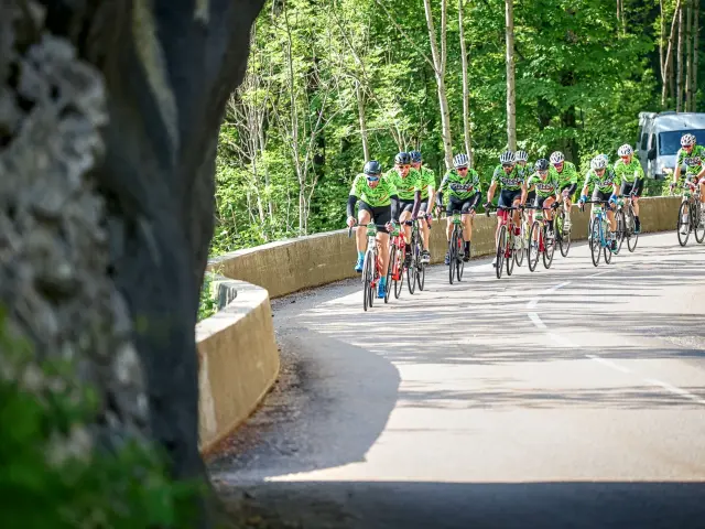 Groupe de cyclistes sur une route bordée d’arbres en forêt