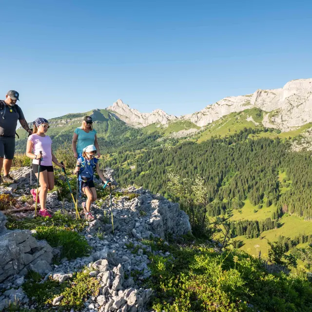 Gruppo di escursionisti che camminano su un sentiero in montagna, con cime innevate sullo sfondo