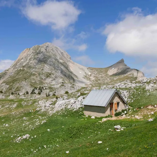 Chalet en bois au pied d'une montagne rocheuse avec des fleurs sauvages en premier plan