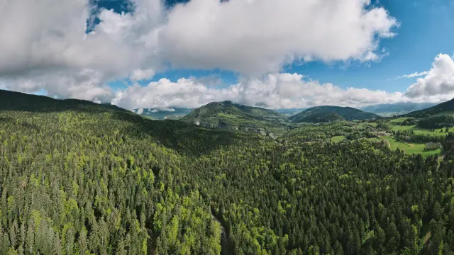 Collines verdoyantes et champs de blé sous un ciel partiellement nuageux