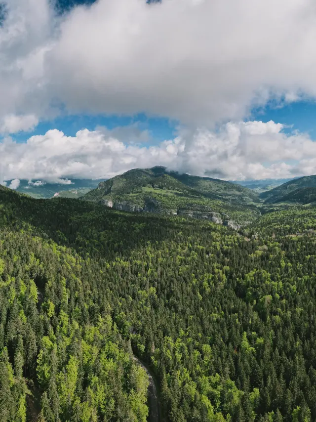 Collines verdoyantes et champs de blé sous un ciel partiellement nuageux