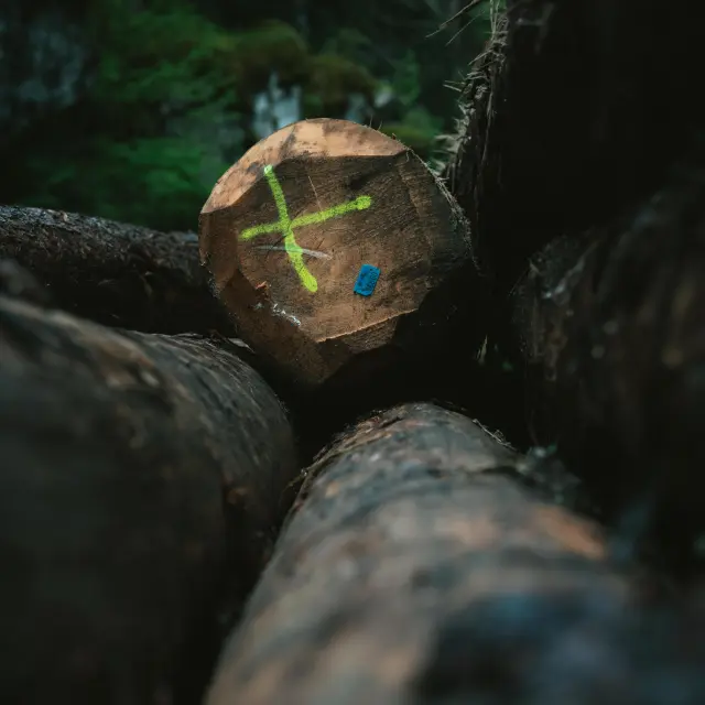 Voilier avec une lumière verte projetée sur sa coque dans un port