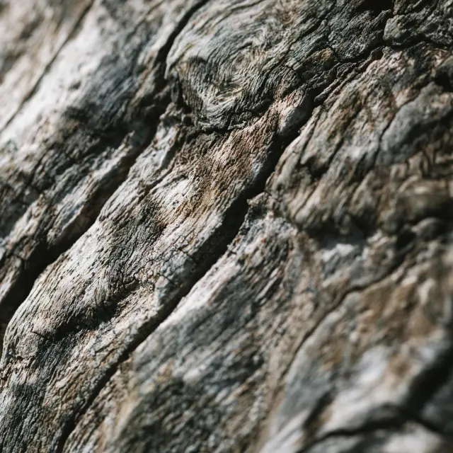 Surface de bois rugueuse avec des stries et des traces d'usure
