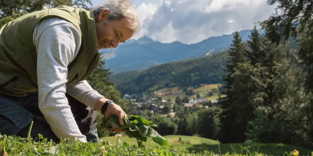 Deux enfants courent dans un champ de fleurs jaunes et blanches, avec des montagnes en arrière-plan