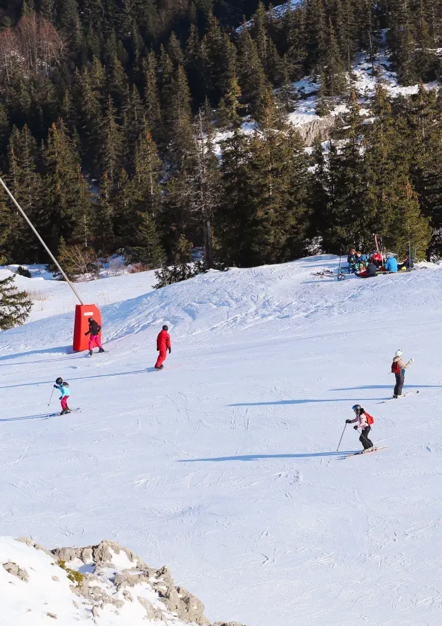 Plusieurs skieurs et snowboardeurs évoluent sur une piste de ski enneigée, encadrée par des sapins