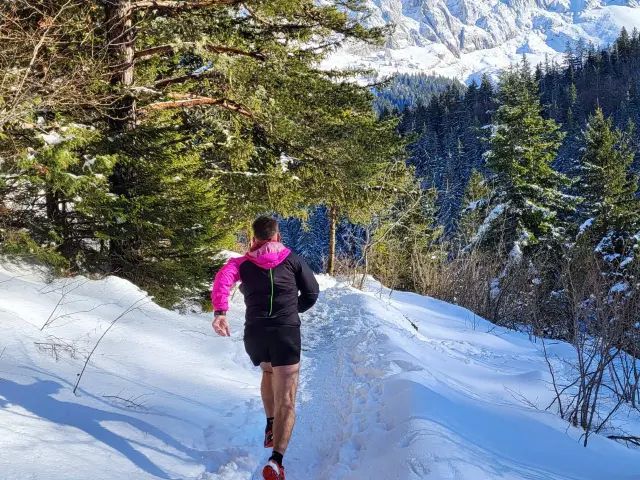 Deux personnes marchant sur un sentier enneigé en montagne, avec des arbres et des sommets enneigés en arrière-plan