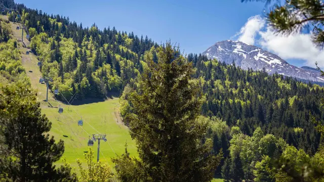 Vue d'une vallée alpine avec des forêts denses, des montagnes enneigées et un ciel dégagé