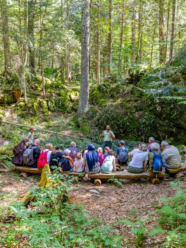 Groupe de randonneurs assis sur des troncs d'arbres dans une forêt