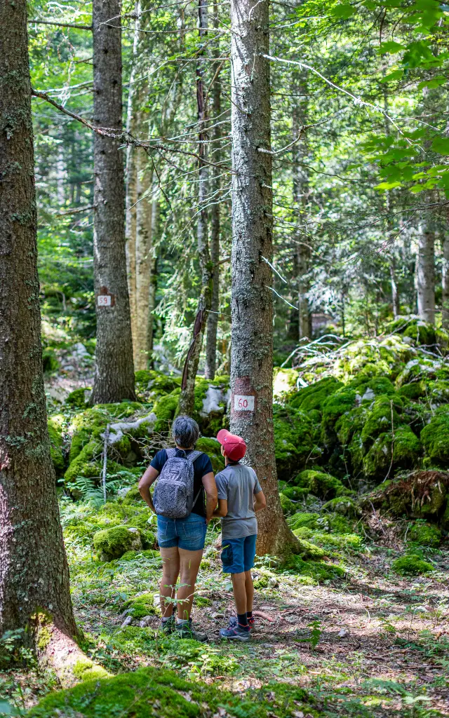 Deux personnes marchant sur un sentier en forêt avec des arbres et des rochers