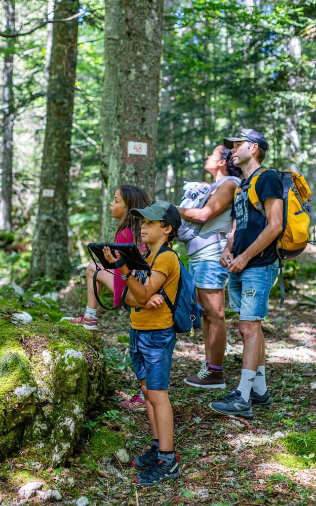 Trois enfants en randonnée en forêt, équipés de sacs à dos et de bâtons de marche