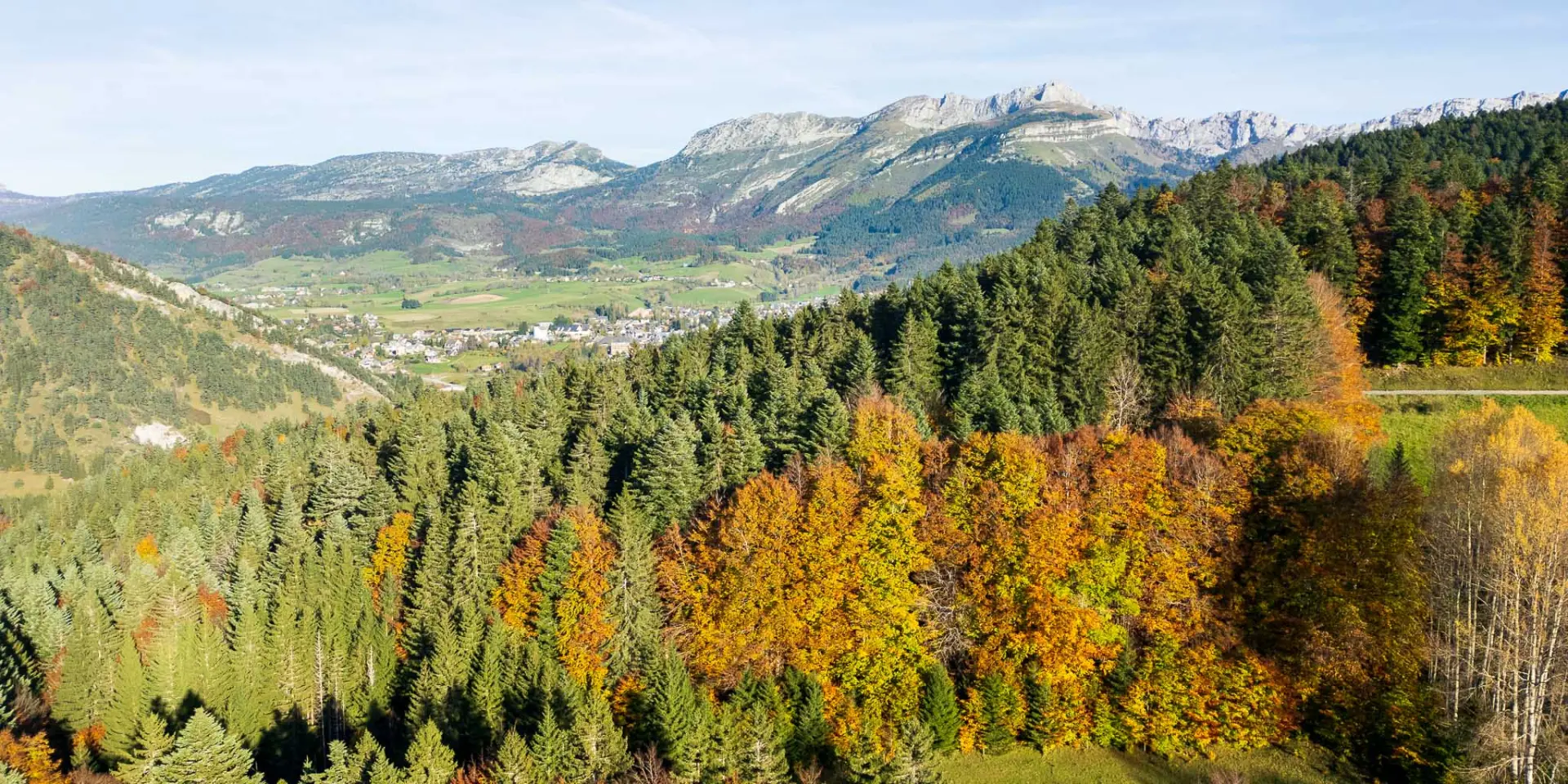 Forêt de feuillus aux couleurs d'automne avec des montagnes en arrière-plan