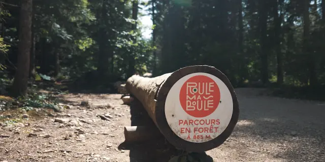 Panneau indiquant un parcours en forêt avec des mains qui le tiennent