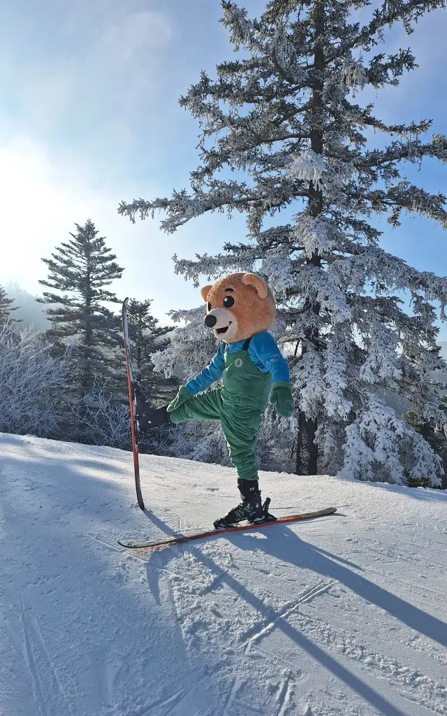 Enfant en tenue de ski bleue et verte tenant des bâtons, sur une piste enneigée bordée d’arbres
