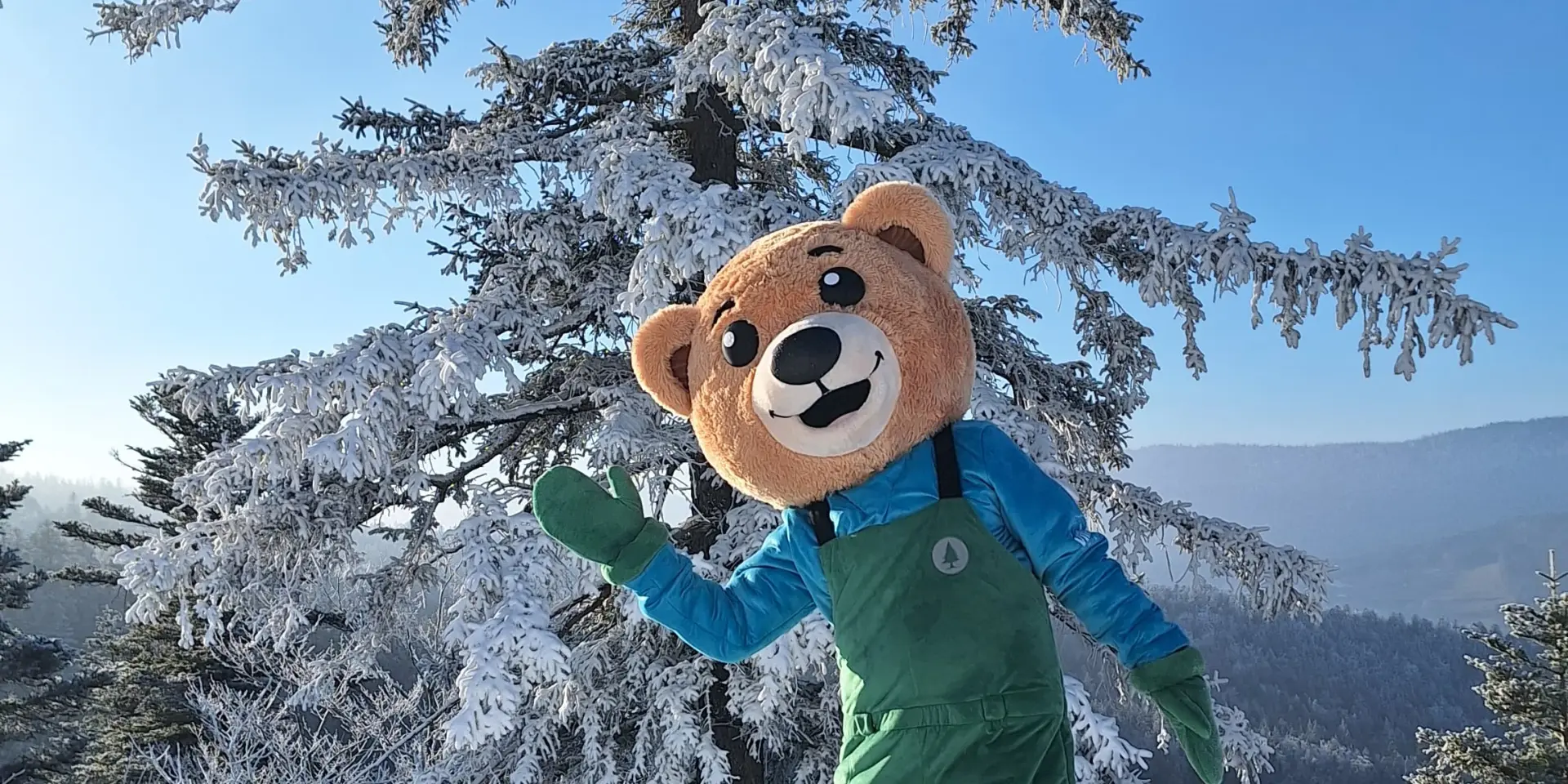 Enfant portant un casque et des lunettes de ski, vêtu d’une combinaison bleue et verte, skiant sur une piste enneigée bordée d’arbres
