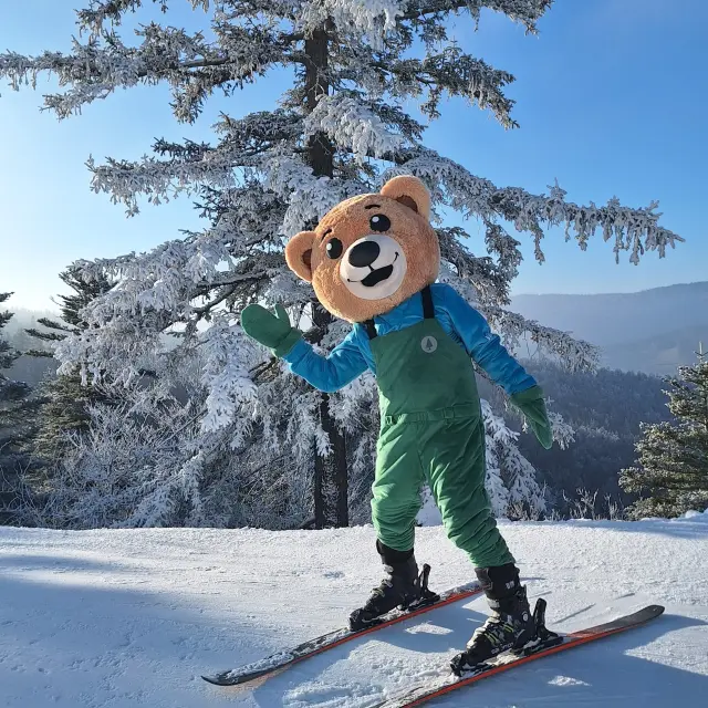 Bambino con casco e occhiali da sci, in tuta blu e verde, che scia su una pista innevata circondata da alberi