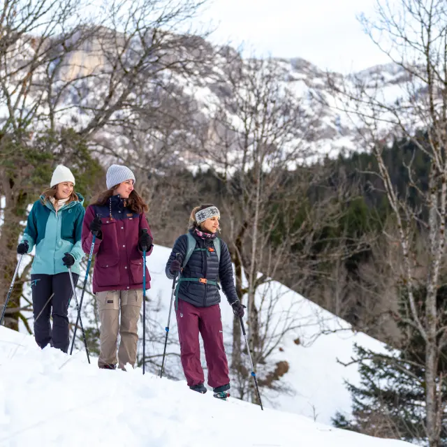Quatre personnes en tenue hivernale marchant dans la neige en montagne