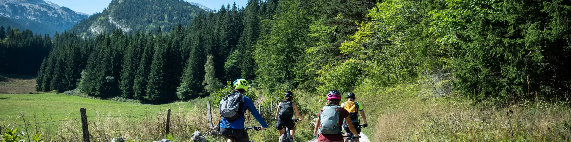 Gruppo di escursionisti su un sentiero di montagna circondato da conifere