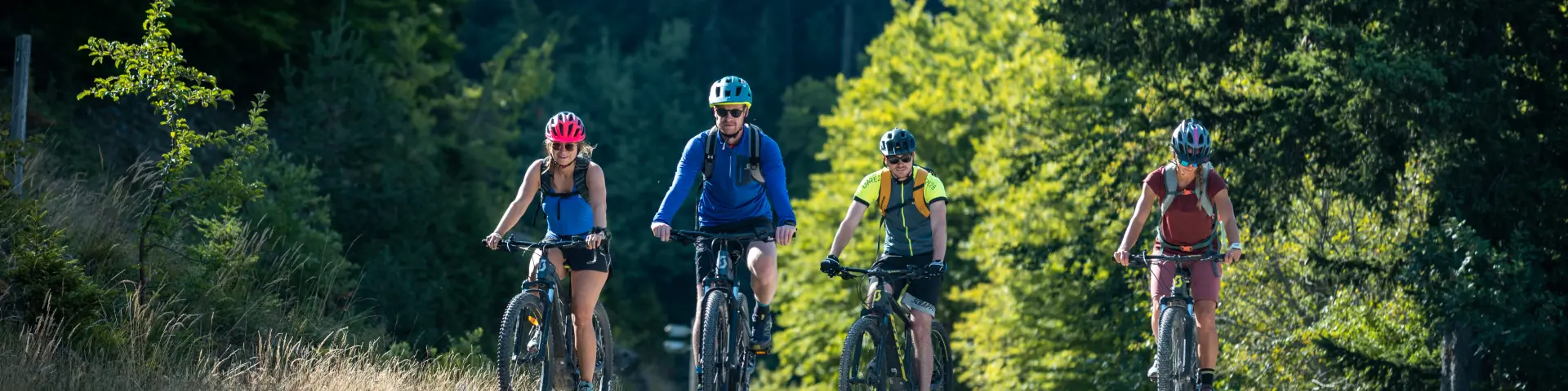 Groupe de cyclistes roulant sur une route forestière au crépuscule