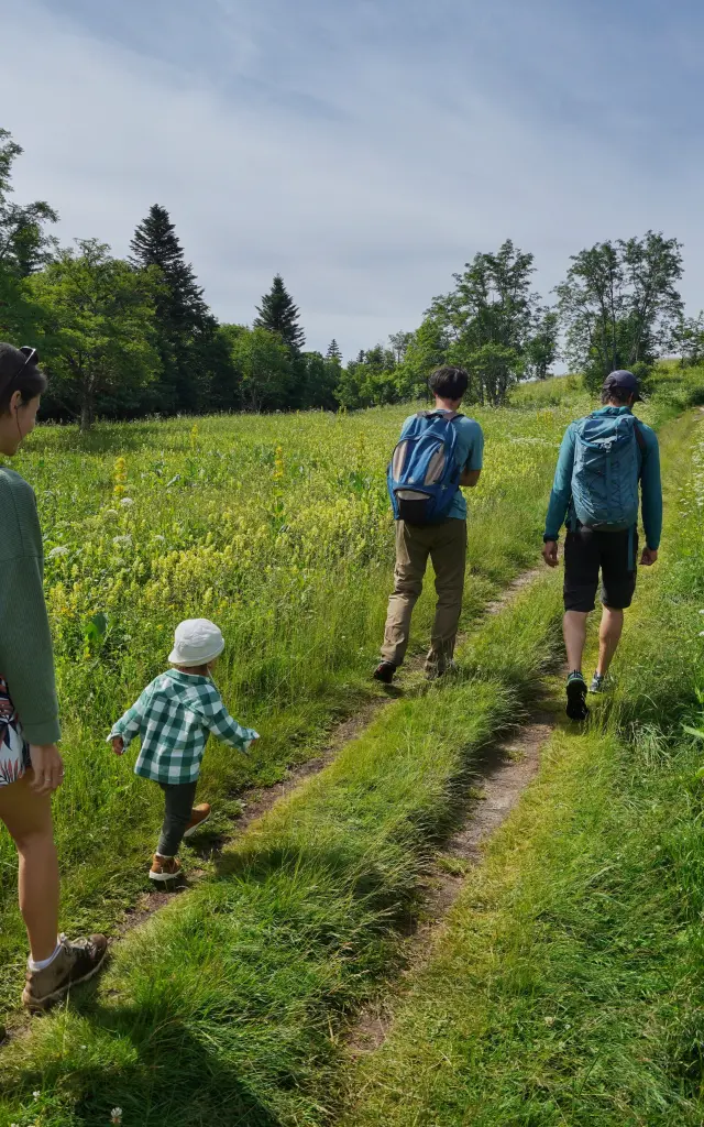 Due adulti e un bambino che camminano in un campo erboso sotto degli alberi
