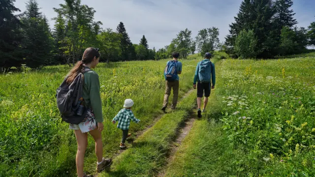 Deux adultes et un enfant marchant dans un champ herbeux sous des arbres