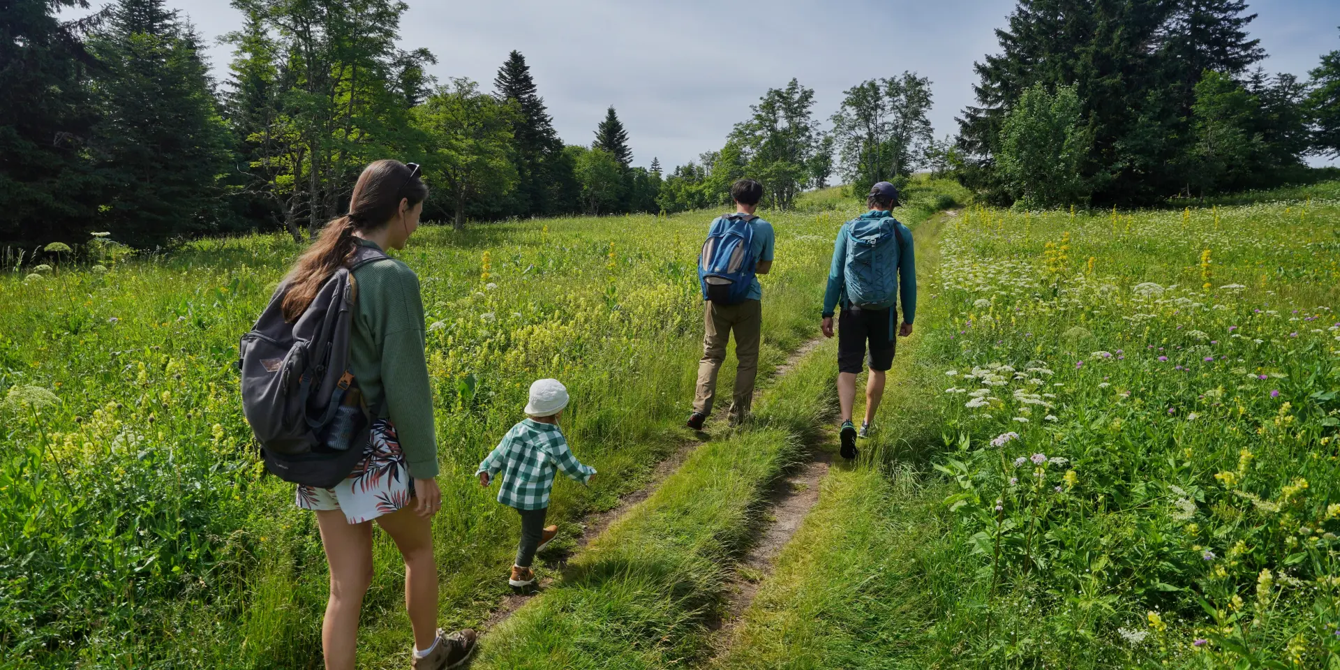 Due adulti e un bambino che camminano in un campo erboso sotto degli alberi