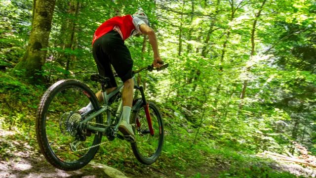 Ciclista in tenuta rossa e nera con casco, che pedala su un sentiero forestale