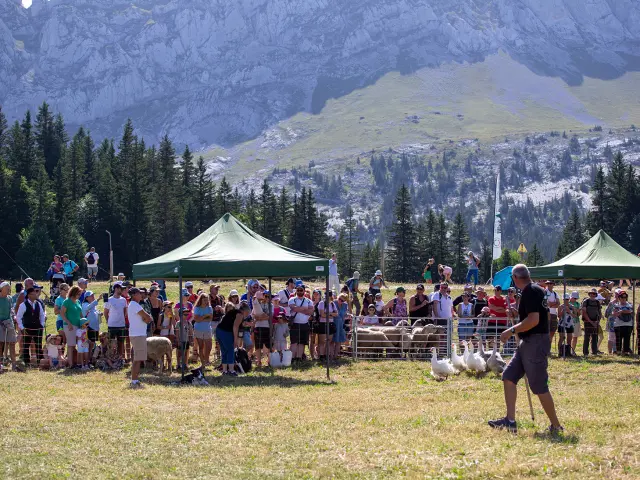 Fetedelamontagne2025c.szymanek 25
